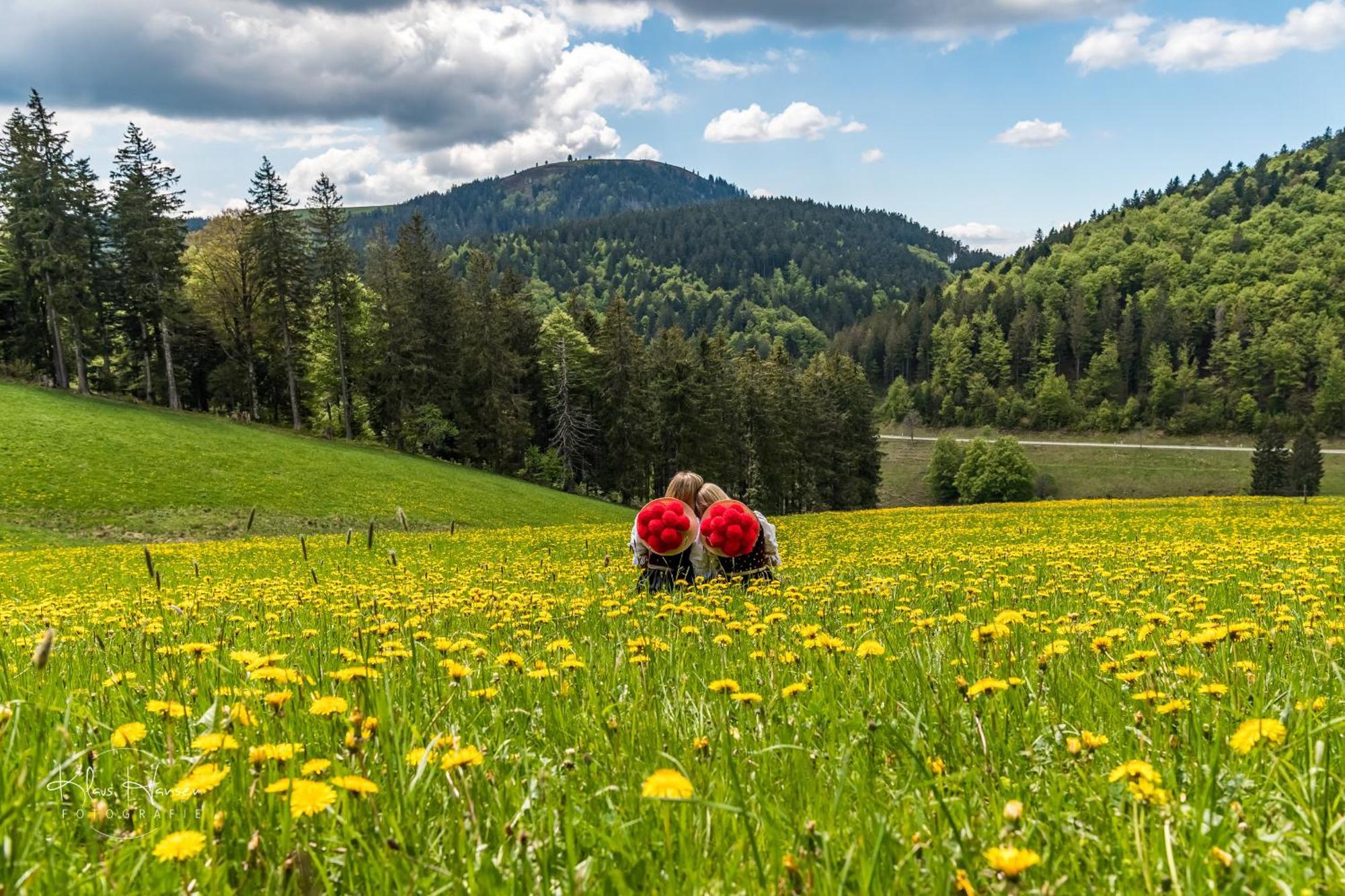 Ferienwohnung Sommerberg, Lenzkirch, 2 Schlafzimmer Экстерьер фото